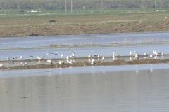 462222598_8520795007988409_6700972922385171360_n