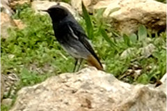 462223829_8522104557857454_6936399122722945576_n