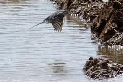 462236968_8530297023704874_2582747096320222266_n