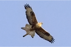 462239292_8515007665233810_3250417130098717391_n