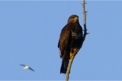 462252039_8515006311900612_4806799583132450438_n