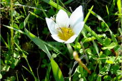 462264691_8502340809833829_3022200199638438718_n