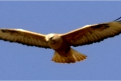 462272374_8523881834346393_3901961619003115630_n