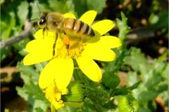 462274270_8515006728567237_6782539734540461609_n