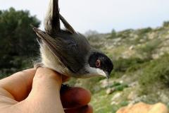 462281489_8523863814348195_5721218044320552062_n