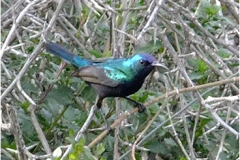 462286986_8522104567857453_5736259732461609799_n