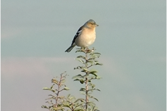 462292414_8521654864569090_8793036458241395934_n