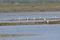 462293290_8520795004655076_6077899429415339566_n