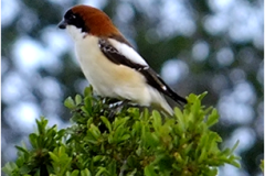 462294233_8534660836601826_8931270934072384418_n