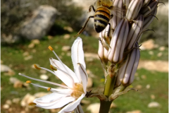 462295973_8523881571013086_4720633739982197369_n