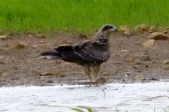 462297688_8530296997038210_581260688130090044_n