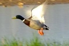 462306314_8530294517038458_6638595693557687418_n