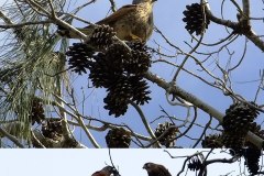 462306369_8535785383156038_8047367722121436625_n