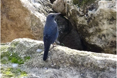 462307823_8521655211235722_1336192974210725797_n