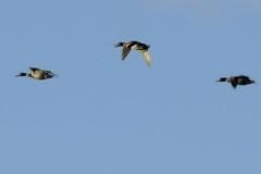 462315414_8530294280371815_6523546714714272061_n