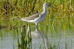 462315573_8527637930637450_857594839932761650_n