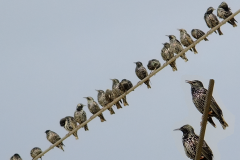 462319789_8526405867427323_541445587265118402_n