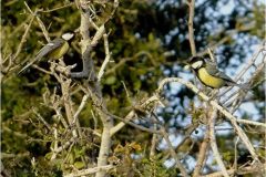 462324476_8530328943701682_2875933865613029933_n