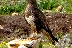 462326240_8526405850760658_7370923162910405957_n