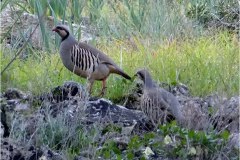 462328816_8521654867902423_7829122401725377484_n