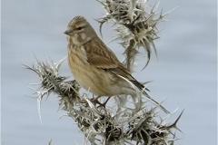 462338099_8526405847427325_2149168790188600484_n