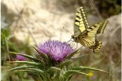 462349810_8537884852946091_5546748220606968331_n