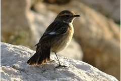 462362776_8521654891235754_5522988709221250523_n