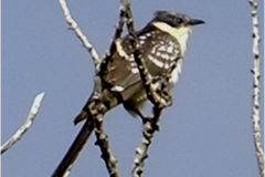 462367423_8534660839935159_4784566697990392860_n