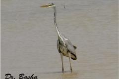 462370679_8543809222353654_3871371040829810412_n