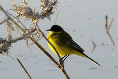 462371321_8534408276627082_1405544343868019716_n