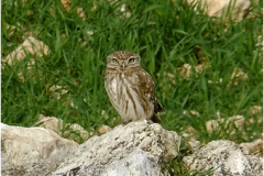 462382692_8522104574524119_4765316215141005003_n