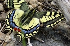 462390355_8530296993704877_4832065217572083265_n