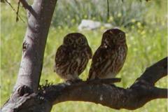 462410198_8531690836898826_6226293135368992342_n