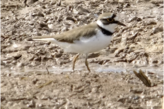 462414089_8531339466933963_4866843836583256929_n