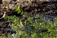 462421964_8521654874569089_1789448847026371040_n