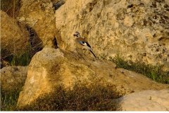 462426458_8535058109895432_8611862412643220356_n