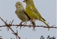 462434246_8546002398801003_7066576428602074083_n