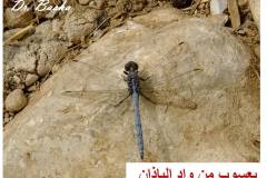 462444739_8552953944772515_4557410840880656569_n