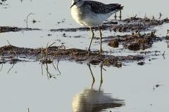 462454315_8534409843293592_4374980406431301785_n