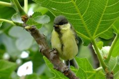 462460824_8537187189682524_6282204689386518190_n