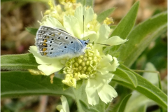 462464681_8531339130267330_3848881905570699741_n