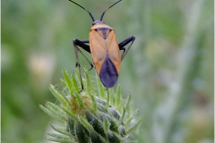 462467501_8534448649956378_3237186620984532750_n