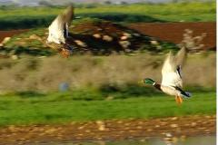 462470961_8530294543705122_1064582337479992010_n