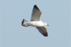 462476920_8531055970295646_6004985604309048833_n