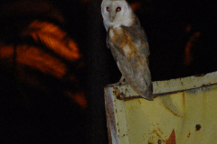 462477167_8529945167073393_2937058633225671201_n