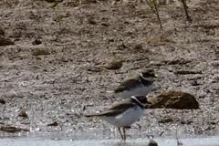 462479594_8530299470371296_1974001159679394865_n