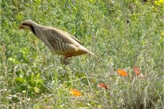 462486327_8531339443600632_2788246908367350359_n