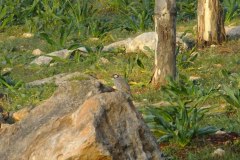 462488851_8535058119895431_6545986254737879154_n