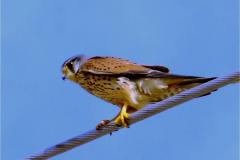 462489120_8537222803012296_5163005146675071202_n