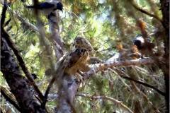 462490624_8549244865143423_1473594266837789715_n